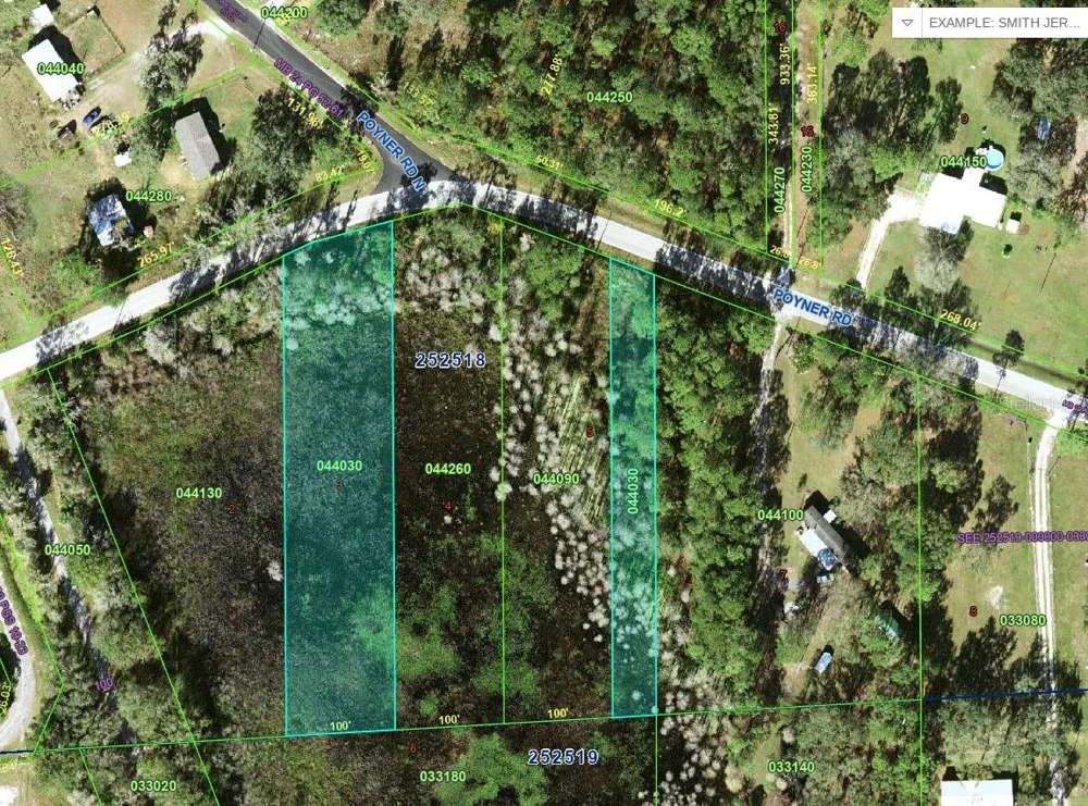 POYNER ROAD Polk City, FL 33868