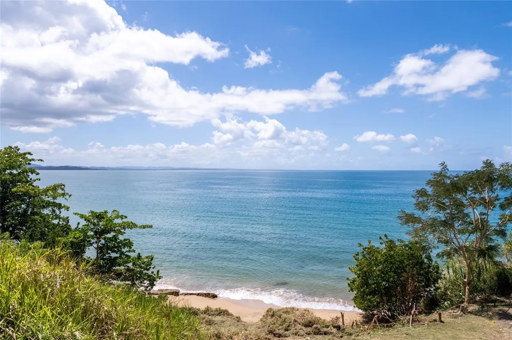 BO. CAGUABO Anasco, PR 00610