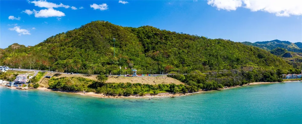 BO. CAGUABO Anasco, PR 00610