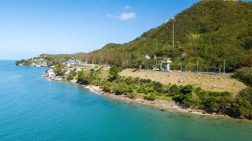 BO. CAGUABO Anasco, PR 00610