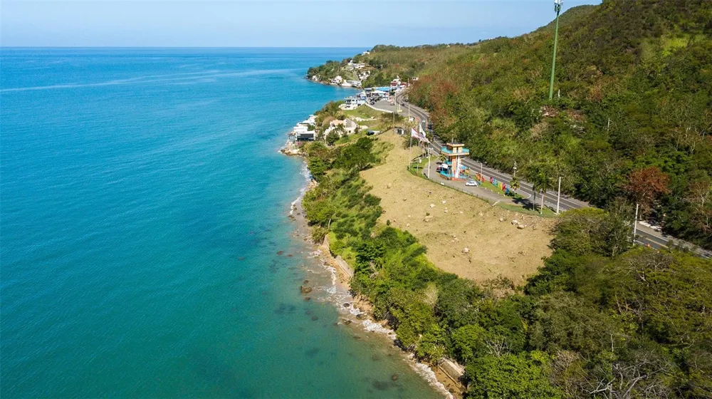 BO. CAGUABO Anasco, PR 00610