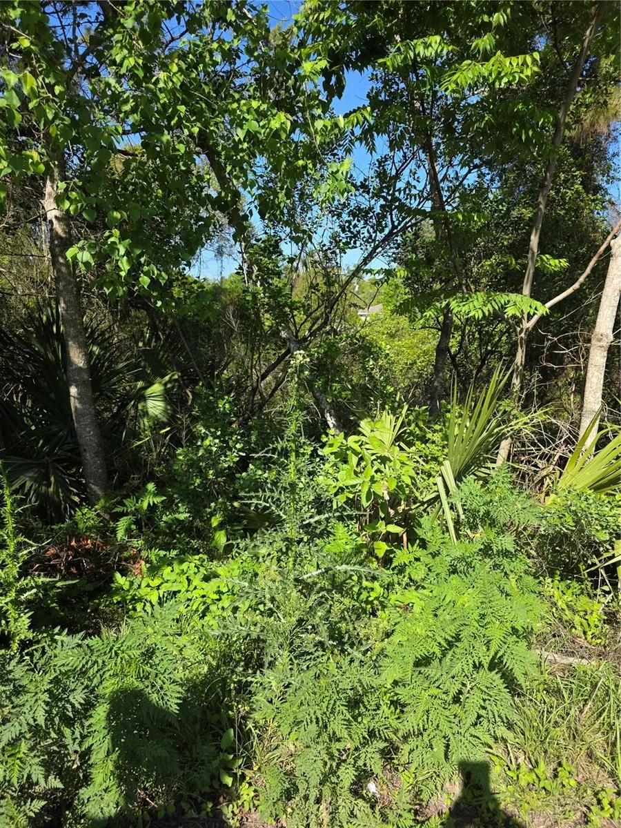 226 WALNUT AVENUE Orange City, FL 32763