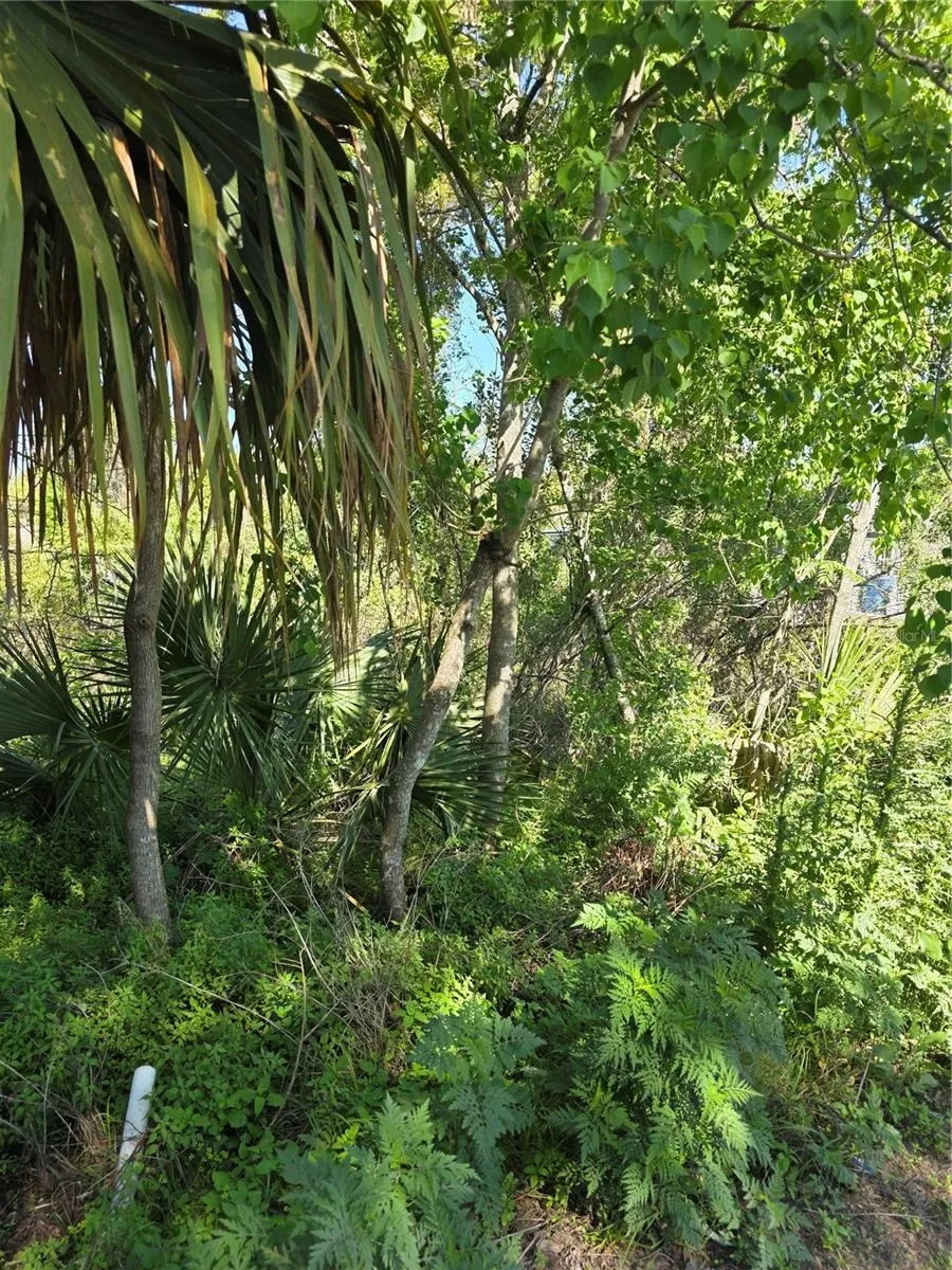 226 WALNUT AVENUE Orange City, FL 32763