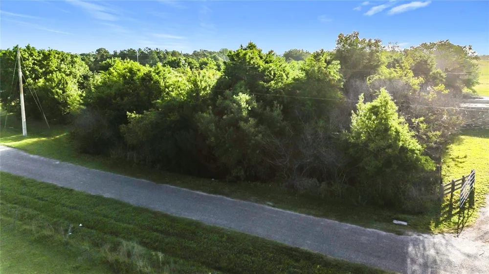 0000 OLD HICKORY TREE ROAD St Cloud, FL 34772