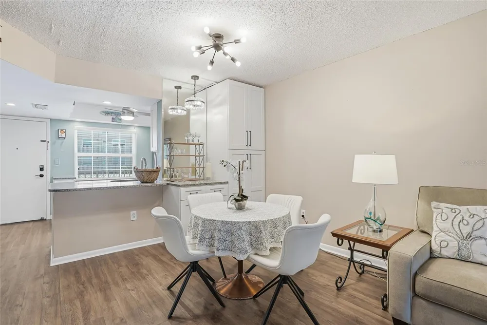 952 VIRGINIA STREET #202 Dunedin, FL 34698