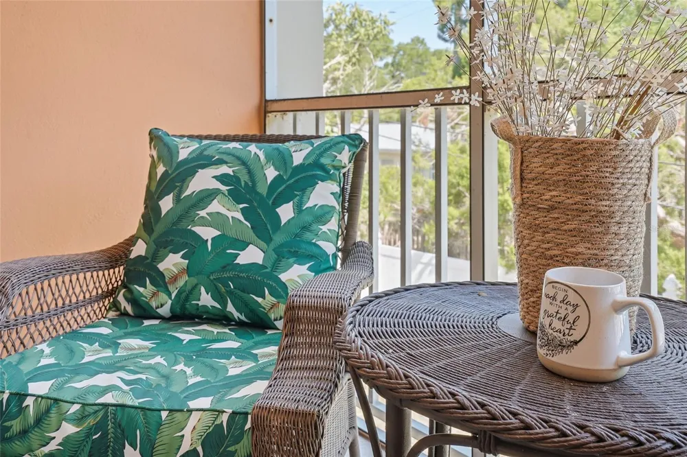 952 VIRGINIA STREET #202 Dunedin, FL 34698