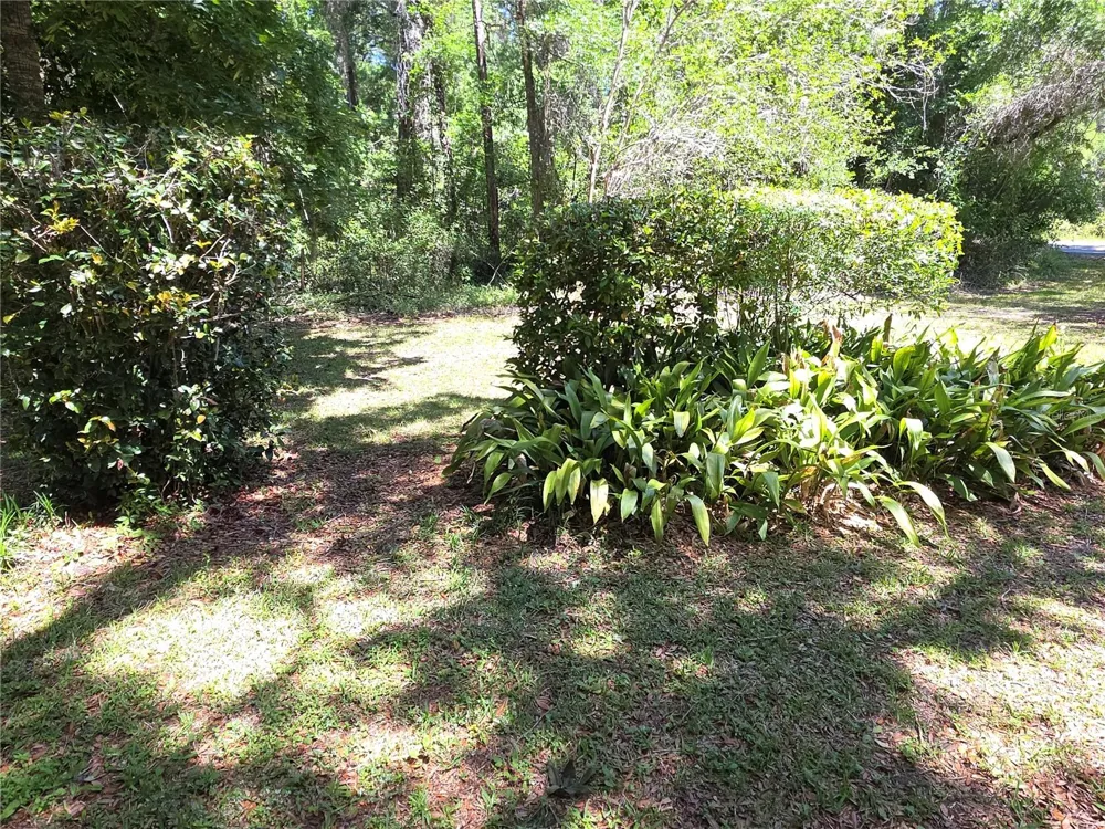 13499 OLD CRYSTAL RIVER ROAD Brooksville, FL 34601