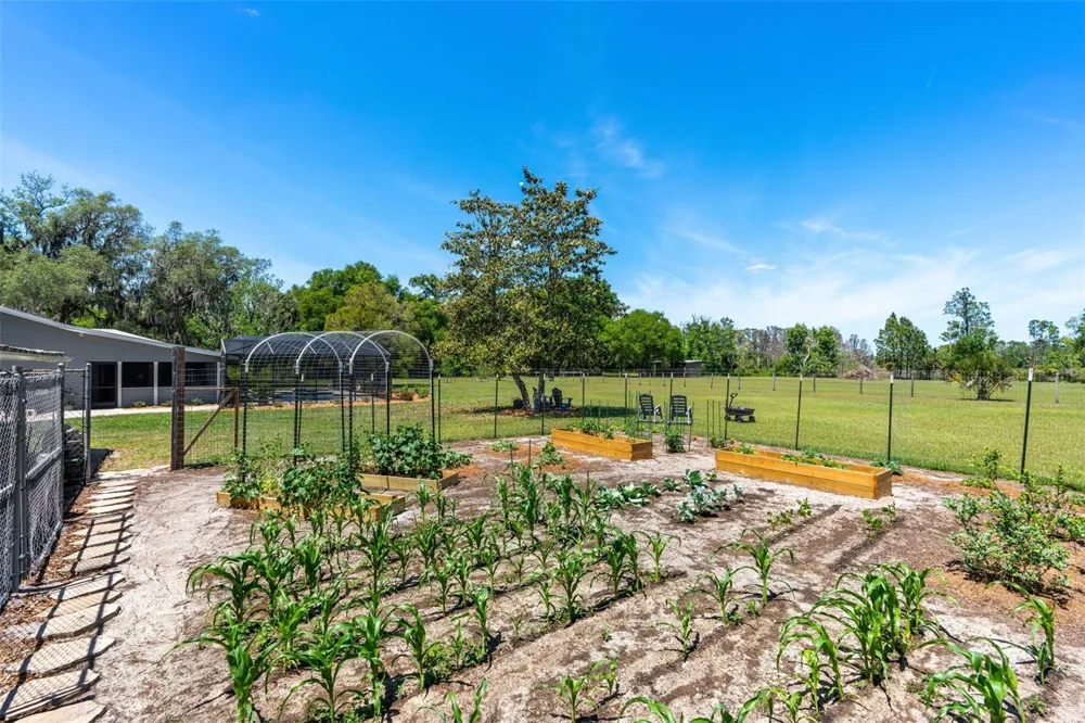 650 OLD MIMS ROAD Geneva, FL 32732