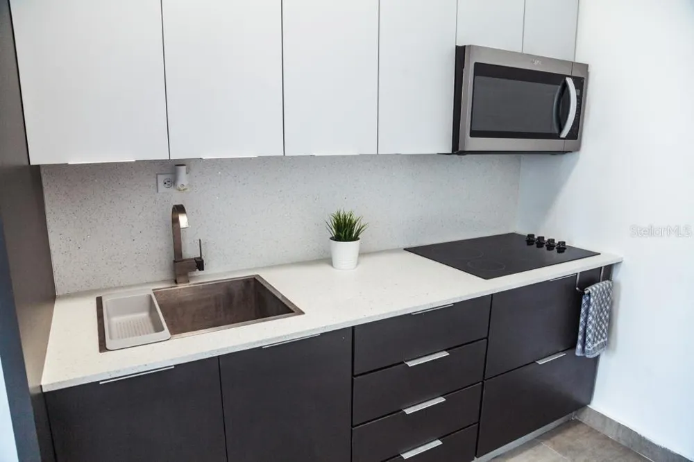 117 CALLE POMARROSA #3D San Juan, PR 00911
