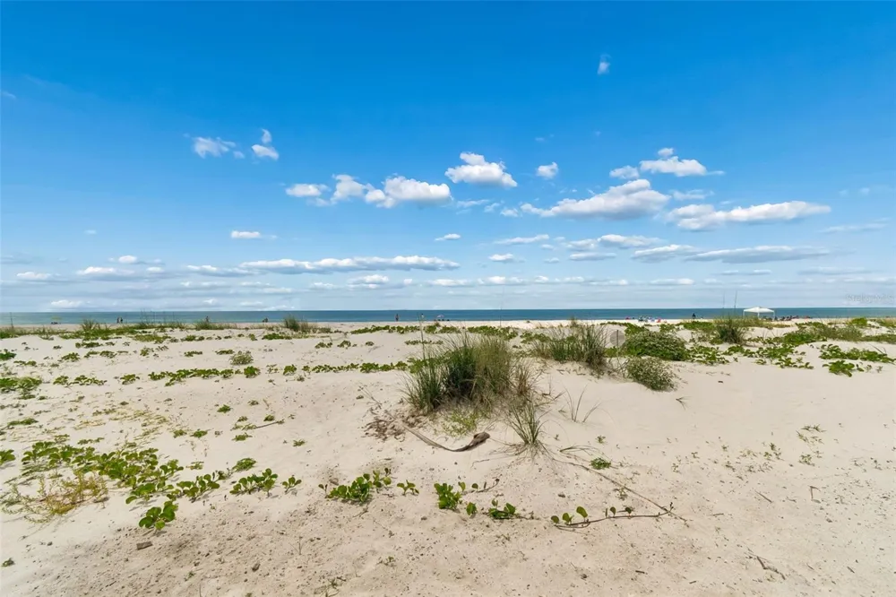 930 ELDORADO AVENUE Clearwater Beach, FL 33767