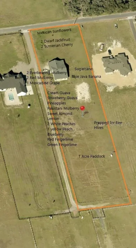 3063 ENGLISH ROAD Plant City, FL 33567