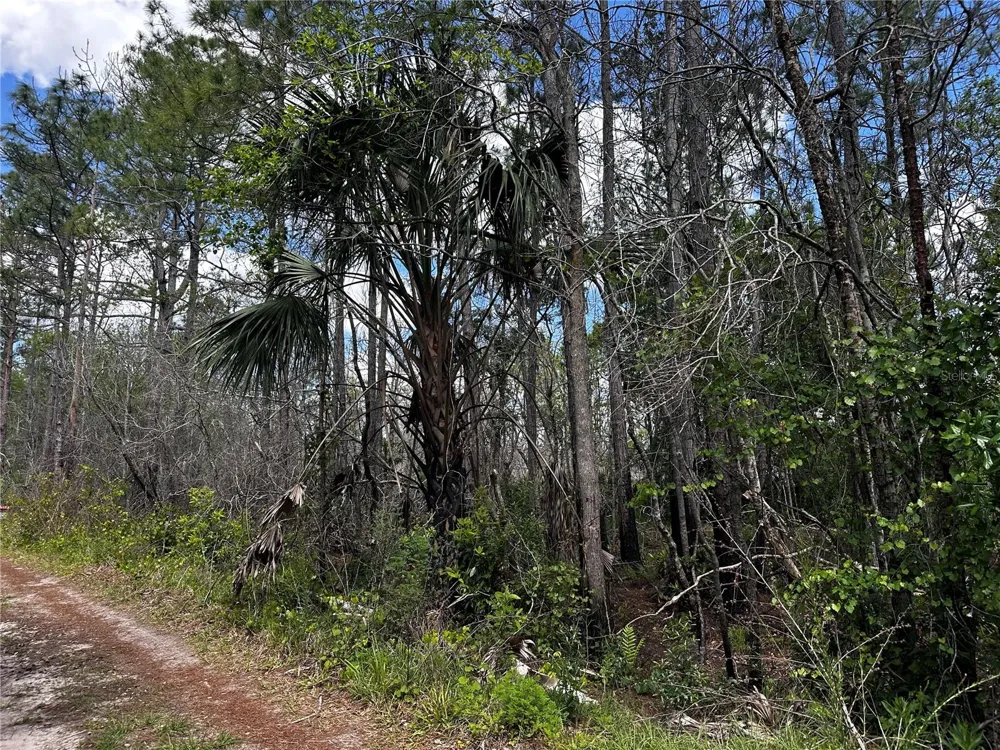 00 KOLA ROAD New Smyrna Beach, FL 32168