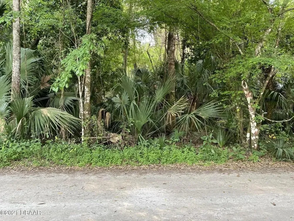 1877 TURTLE HILL ROAD Deltona, FL 32725