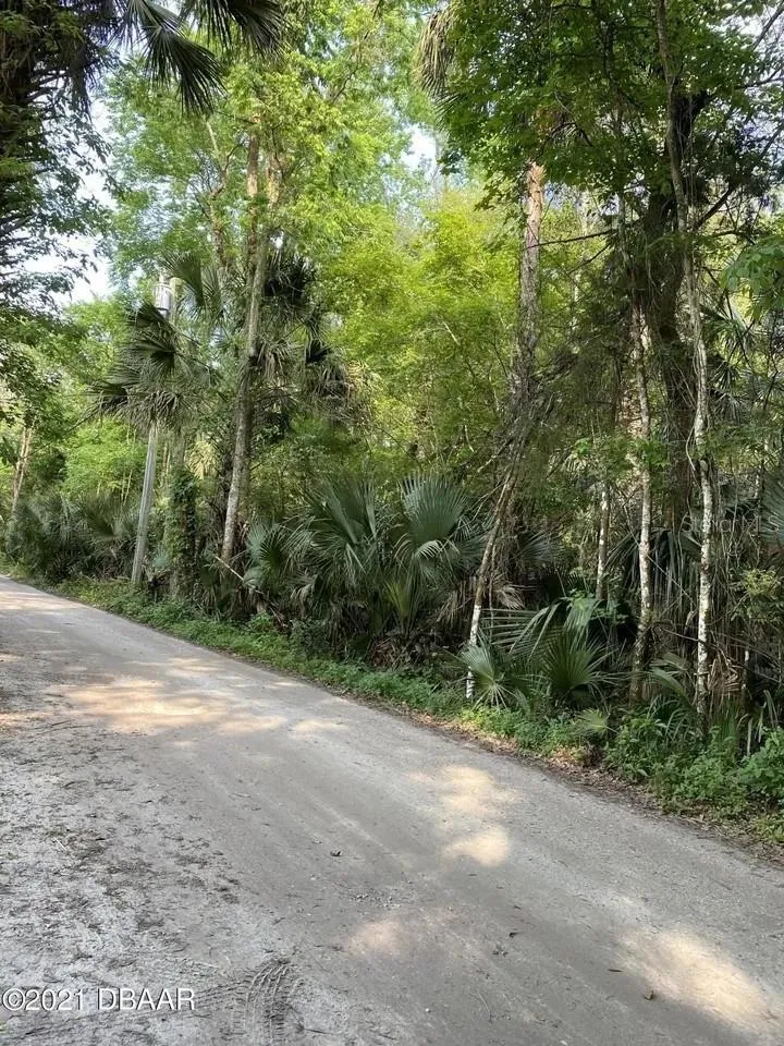 1877 TURTLE HILL ROAD Deltona, FL 32725