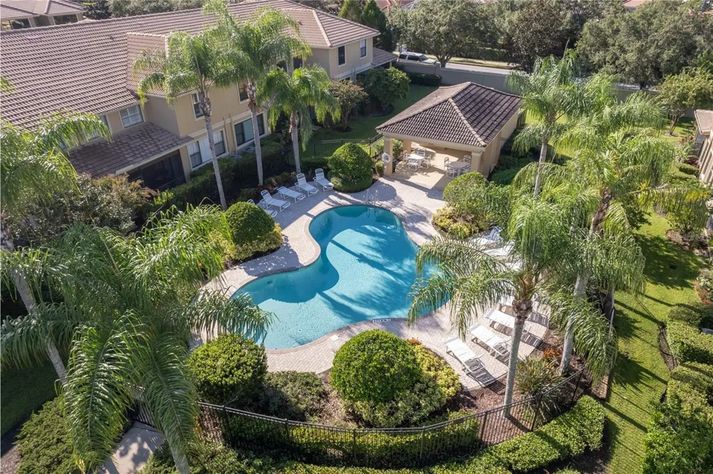 2527 SILVERBACK COURT Palm Harbor, FL 34684