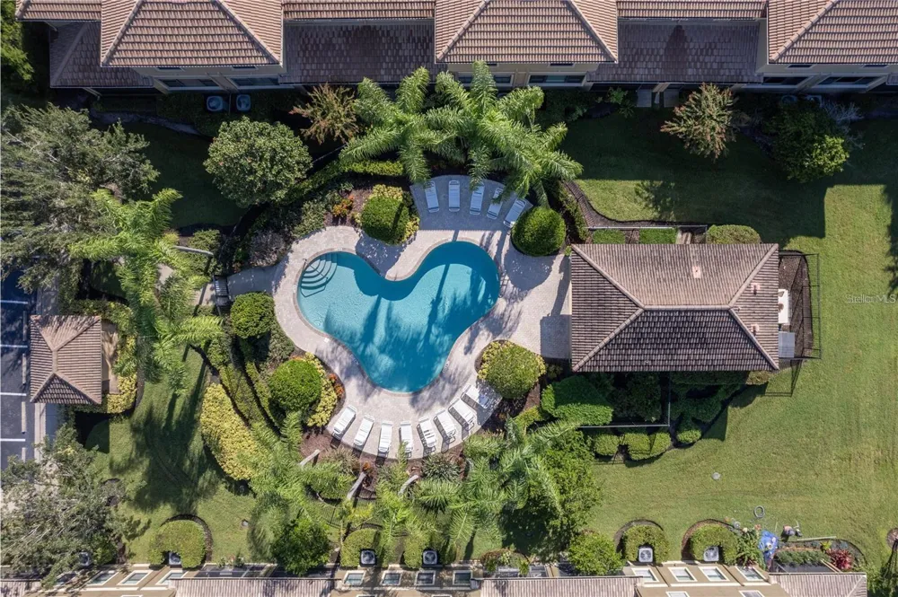 2527 SILVERBACK COURT Palm Harbor, FL 34684