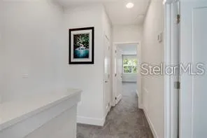 17238 BLESSING DRIVE Clermont, FL 34714