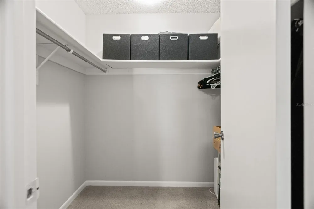 6322 TREETOP CIRCLE Temple Terrace, FL 33617
