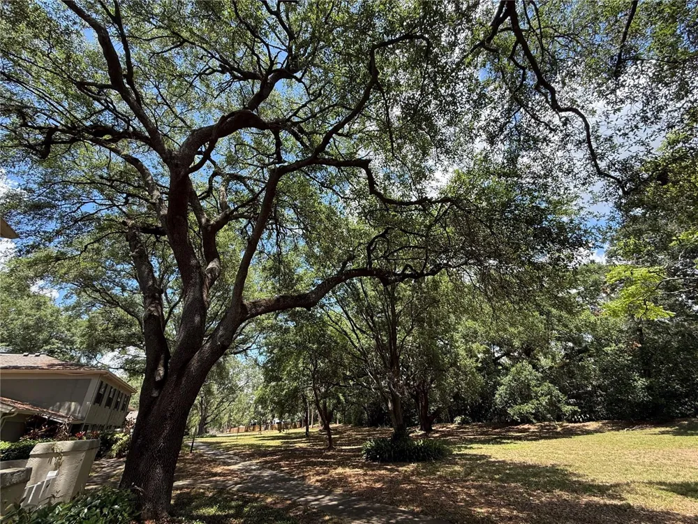6322 TREETOP CIRCLE Temple Terrace, FL 33617