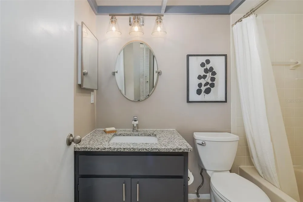 3843 GOLDFINCH COURT Palm Harbor, FL 34685
