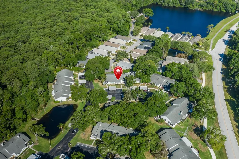 3843 GOLDFINCH COURT Palm Harbor, FL 34685