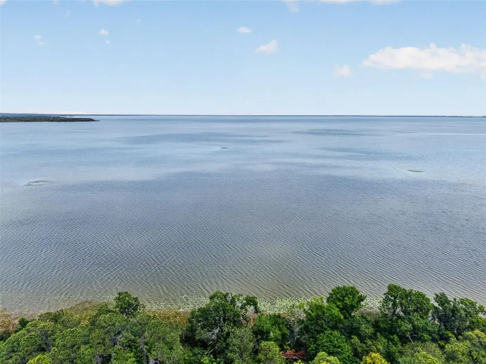 250 WALKER STREET Oakland, FL 34760