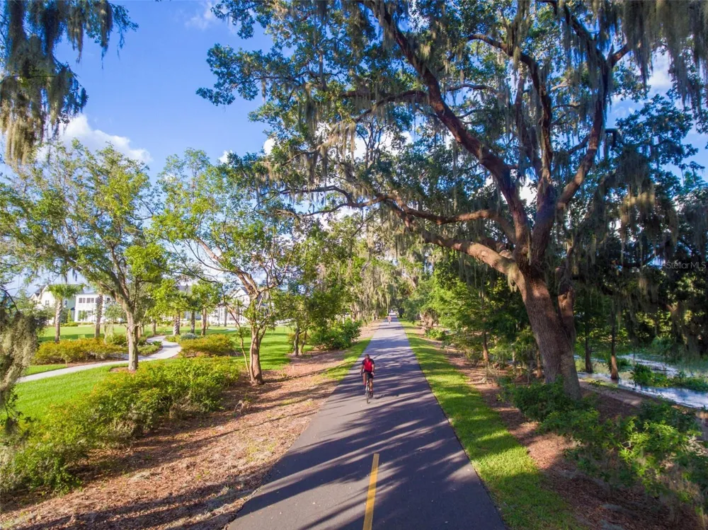 250 WALKER STREET Oakland, FL 34760
