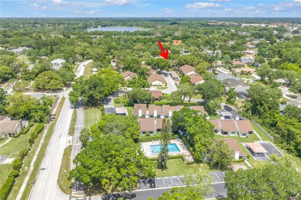 3600 MAGNOLIA RIDGE CIRCLE #1224 Palm Harbor, FL 34684