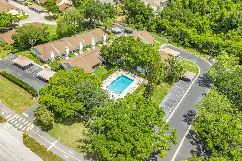 3600 MAGNOLIA RIDGE CIRCLE #1224 Palm Harbor, FL 34684