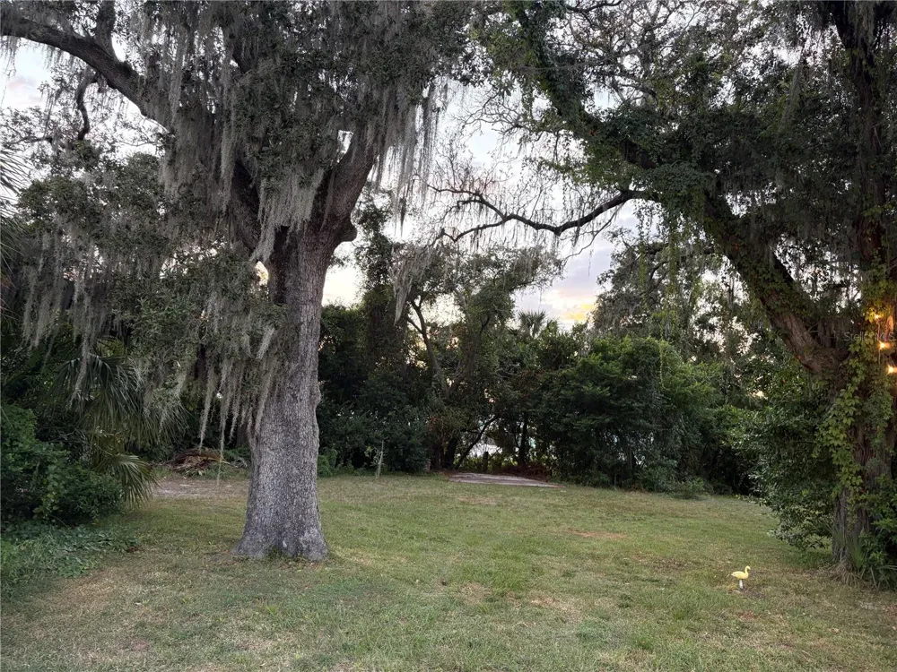839 3RD STREET Safety Harbor, FL 34695