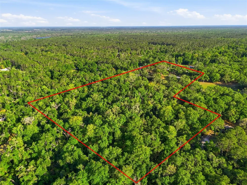 818 NE 783 STREET Old Town, FL 32680