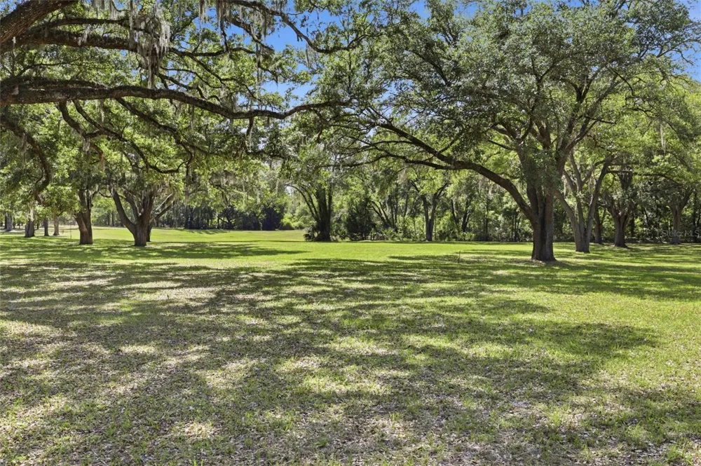 818 NE 783 STREET Old Town, FL 32680