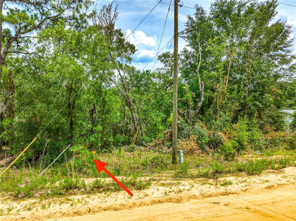 128 CARMICHAEL ROAD Interlachen, FL 32148