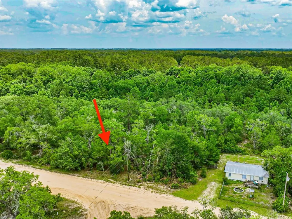 128 CARMICHAEL ROAD Interlachen, FL 32148