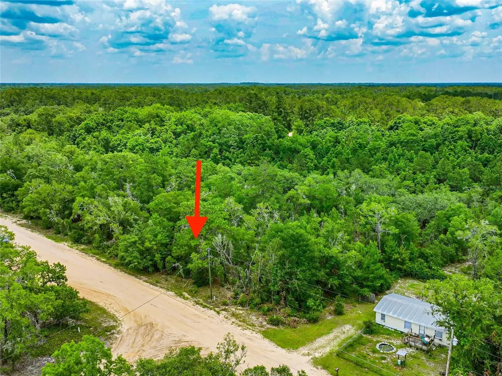 128 CARMICHAEL ROAD Interlachen, FL 32148