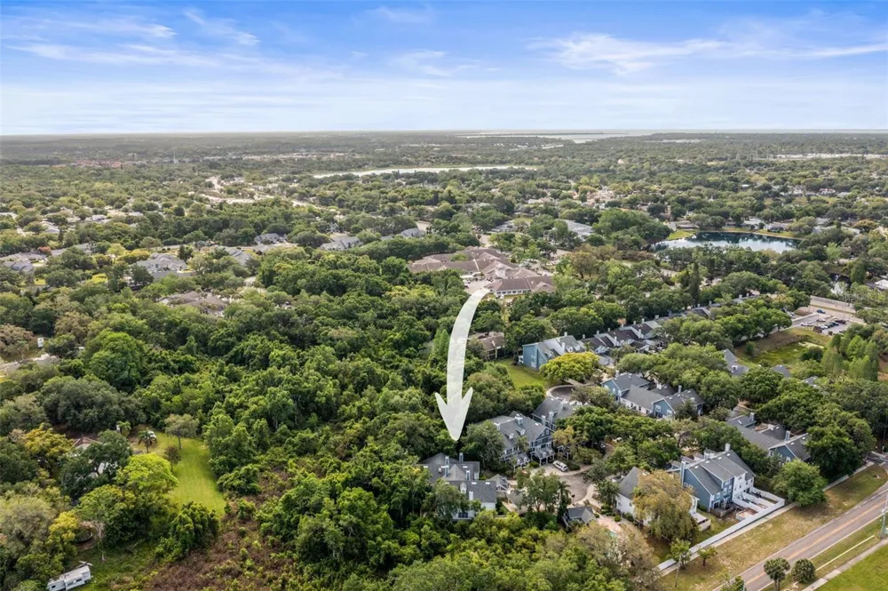 312 WINCHESTER WAY Palm Harbor, FL 34684