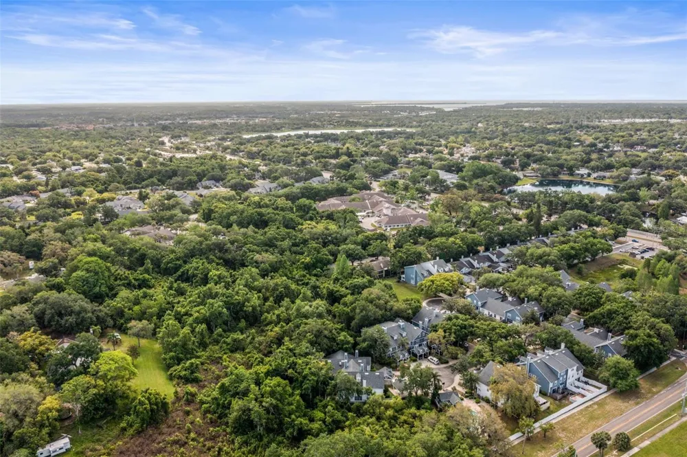 312 WINCHESTER WAY Palm Harbor, FL 34684