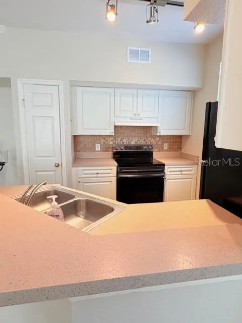 9108 LAKE CHASE ISLAND WAY #9108 Tampa, FL 33626