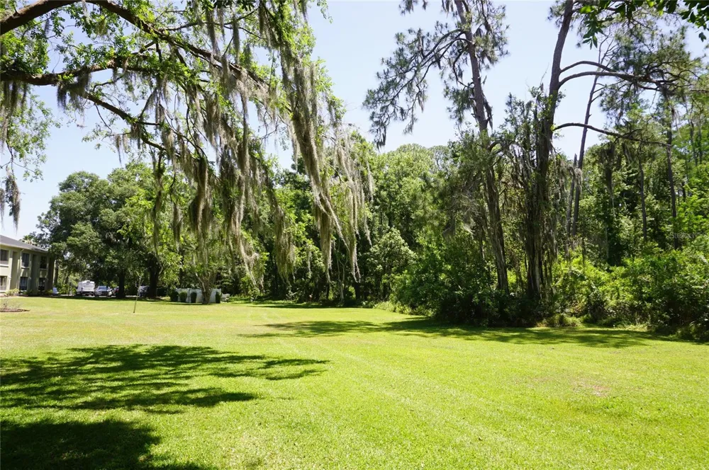 1775 CUPECOY CIRCLE #O6 Lutz, FL 33558