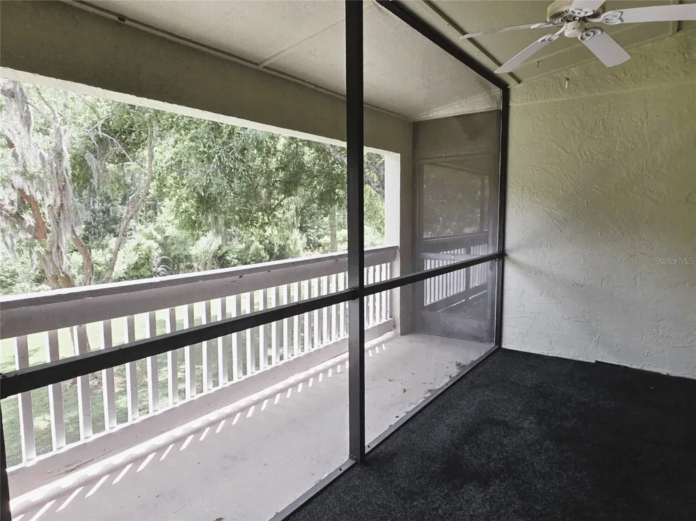 1775 CUPECOY CIRCLE #O6 Lutz, FL 33558