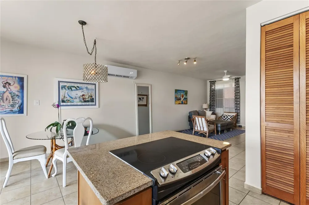 180 PALMAS DRIVE #9C Humacao, PR 00791