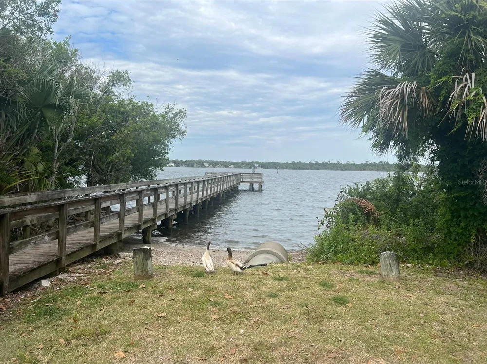 47 CAROL ROAD Ormond Beach, FL 32176
