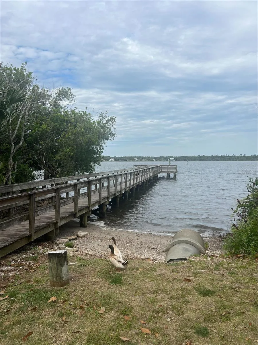47 CAROL ROAD Ormond Beach, FL 32176