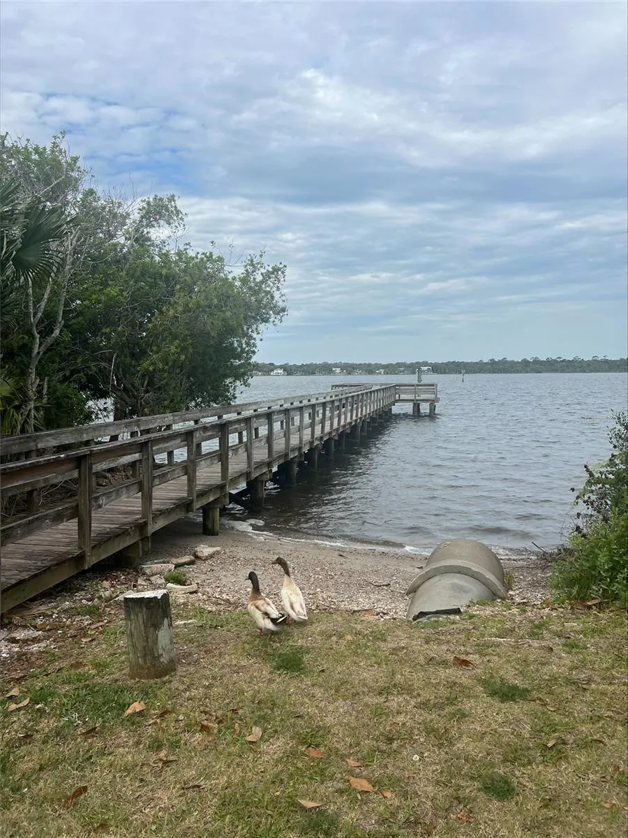 47 CAROL ROAD Ormond Beach, FL 32176