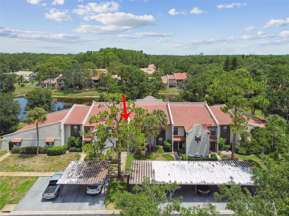 3505 TARPON WOODS BOULEVARD #P404 Palm Harbor, FL 34685