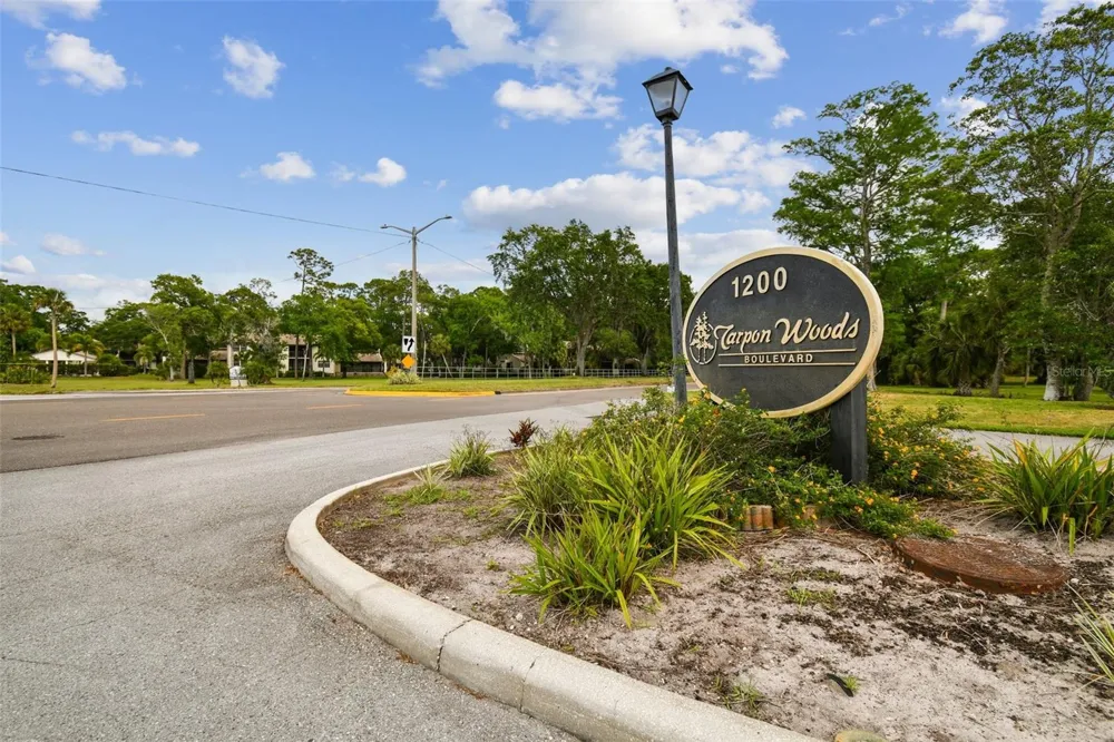 3505 TARPON WOODS BOULEVARD #P404 Palm Harbor, FL 34685