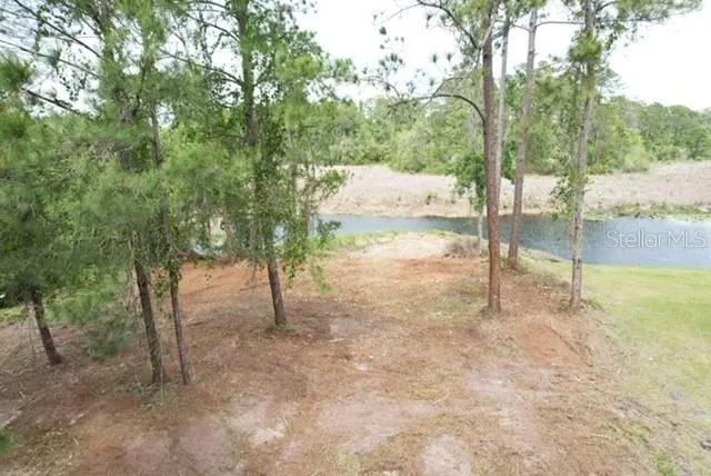 LOCUST RUN DRIVE ocala, FL 34472