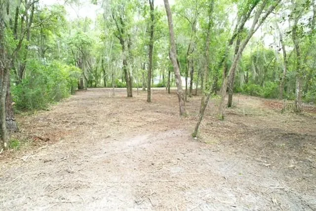 LOCUST RUN COURSE ocala, FL 34472