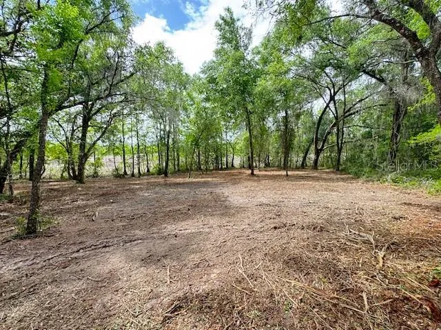 LOCUST RUN COURSE ocala, FL 34472