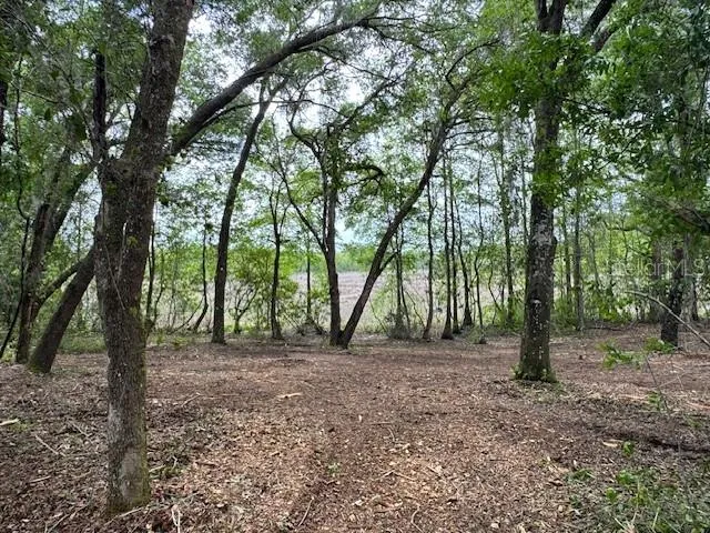 LOCUST RUN COURSE ocala, FL 34472